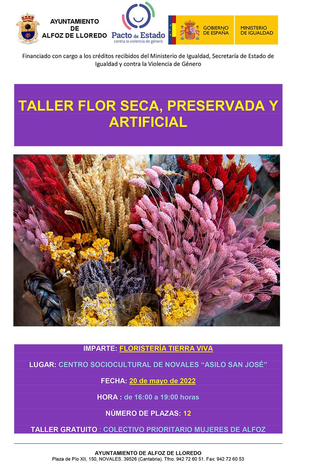 Taller flor seca, preservada y artificial.