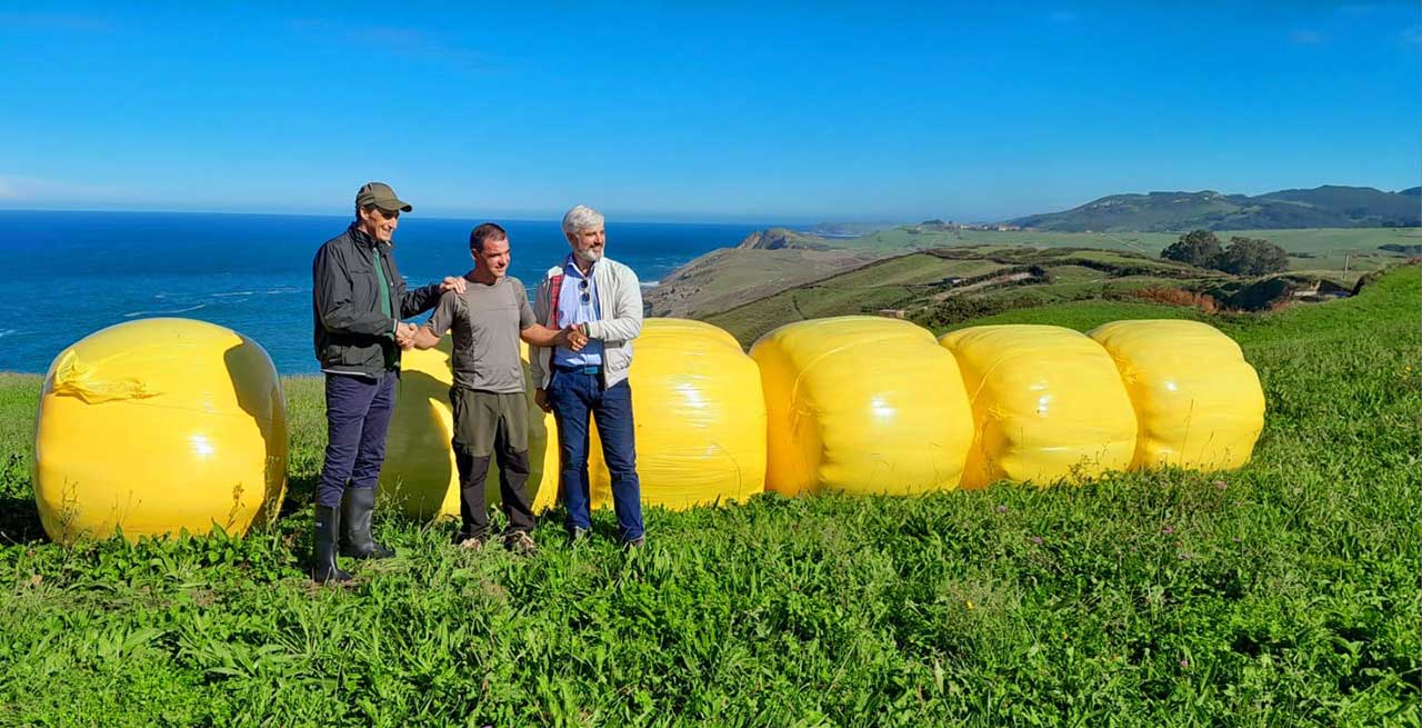 Una veintena de ganaderos adornarán sus prados con rollos de silo amarillos